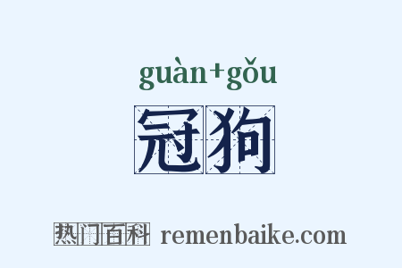 冠狗是什么意思的图片